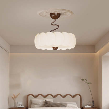 Minimalist Iron Curved LED Ceiling Light