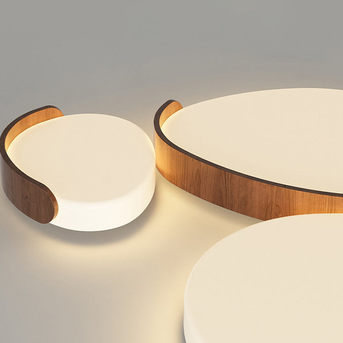 Minimalist Iron Oval LED Flush Mount Light