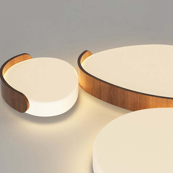 Minimalist Iron Oval LED Flush Mount Light