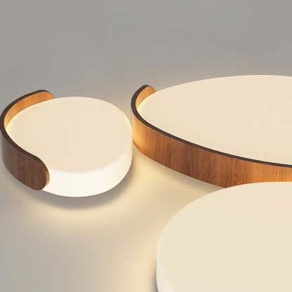 Minimalist Iron Oval LED Flush Mount Light