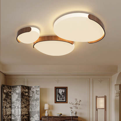 Minimalist Iron Oval LED Flush Mount Light