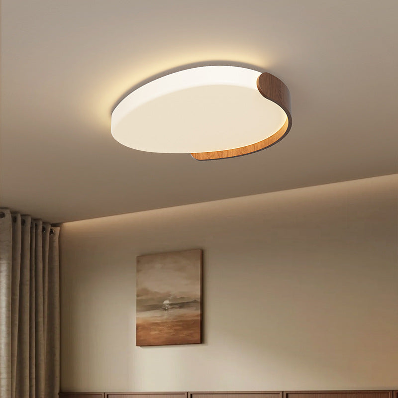Minimalist Iron Oval LED Flush Mount Light