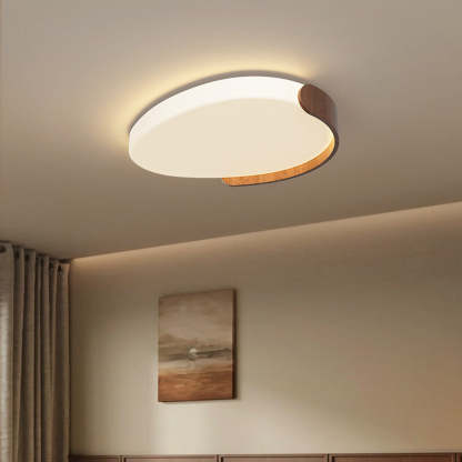 Minimalist Iron Oval LED Flush Mount Light — 110V-120V For US/C / Infinitely Dimmable