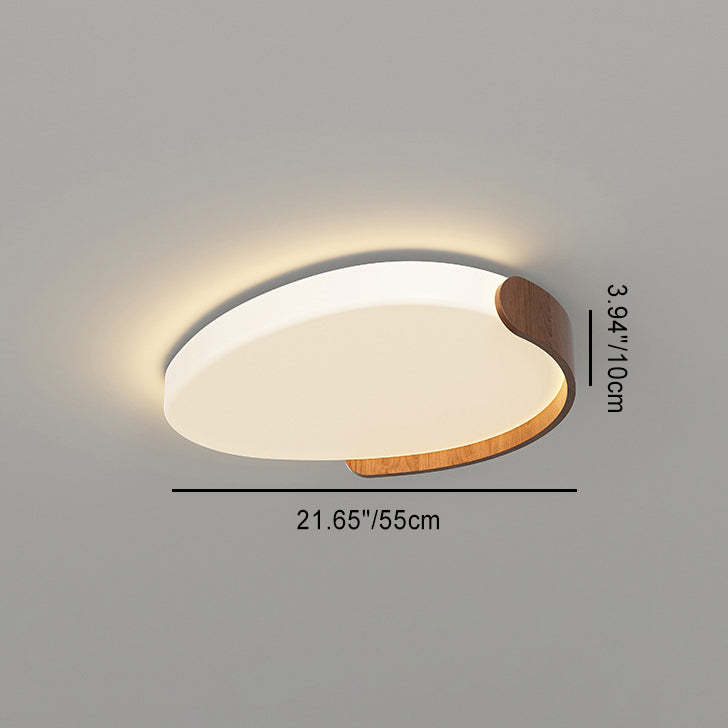 Minimalist Iron Oval LED Flush Mount Light — 110V-120V For US/C / Infinitely Dimmable