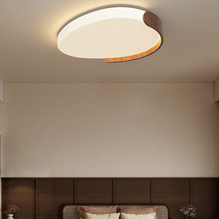 Minimalist Iron Oval LED Flush Mount Light