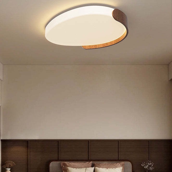 Minimalist Iron Oval LED Flush Mount Light