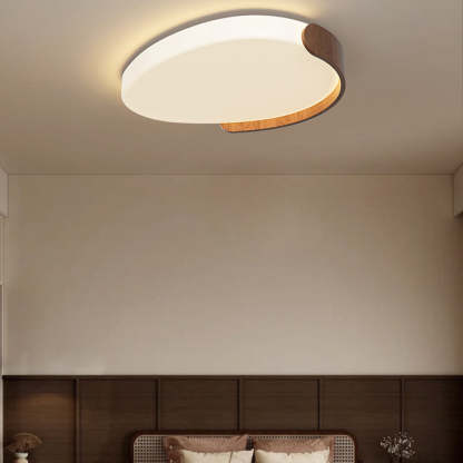 Minimalist Iron Oval LED Flush Mount Light