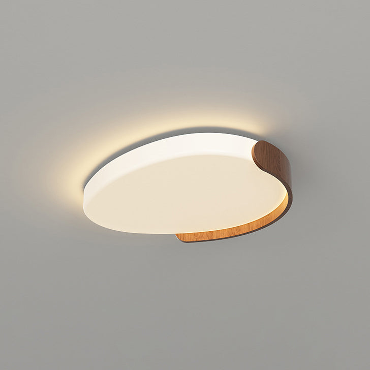 Minimalist Iron Oval LED Flush Mount Light