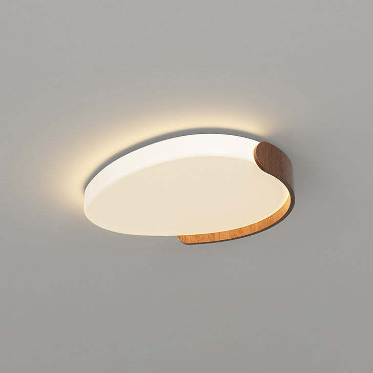 Minimalist Iron Oval LED Flush Mount Light