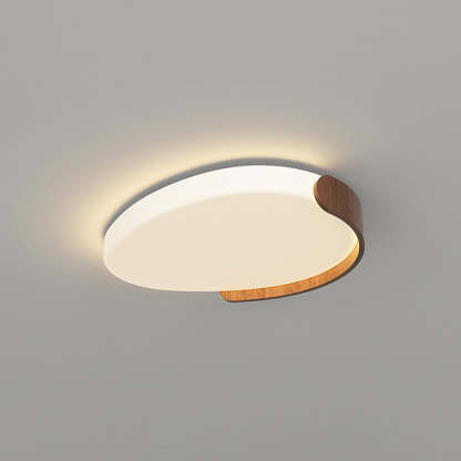 Minimalist Iron Oval LED Flush Mount Light