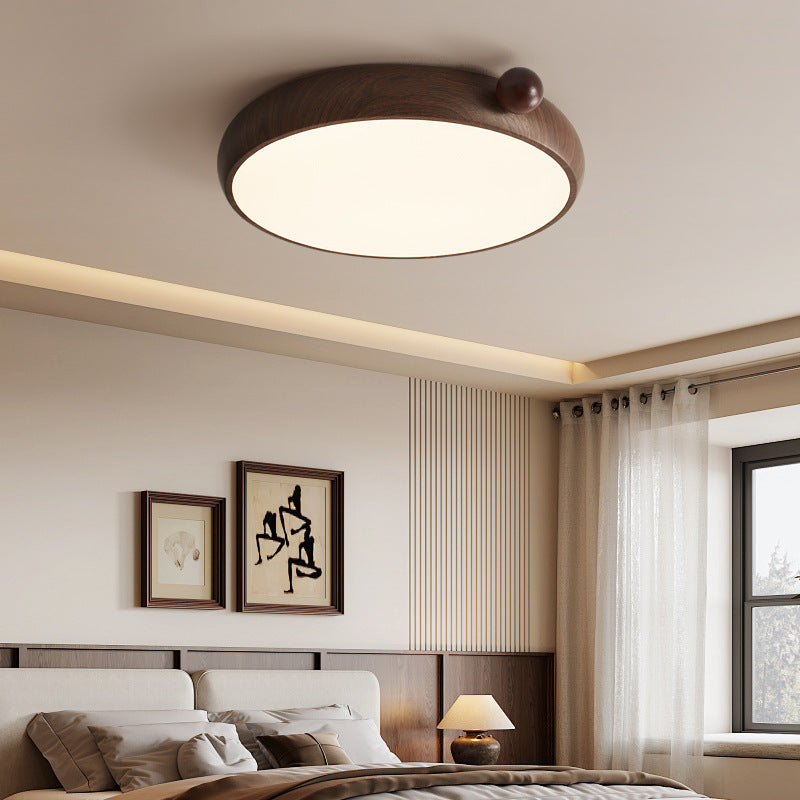 Chinese Acrylic Iron Globe Round LED Flush Mount Light