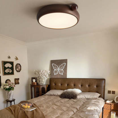 Chinese Acrylic Iron Globe Round LED Flush Mount Light