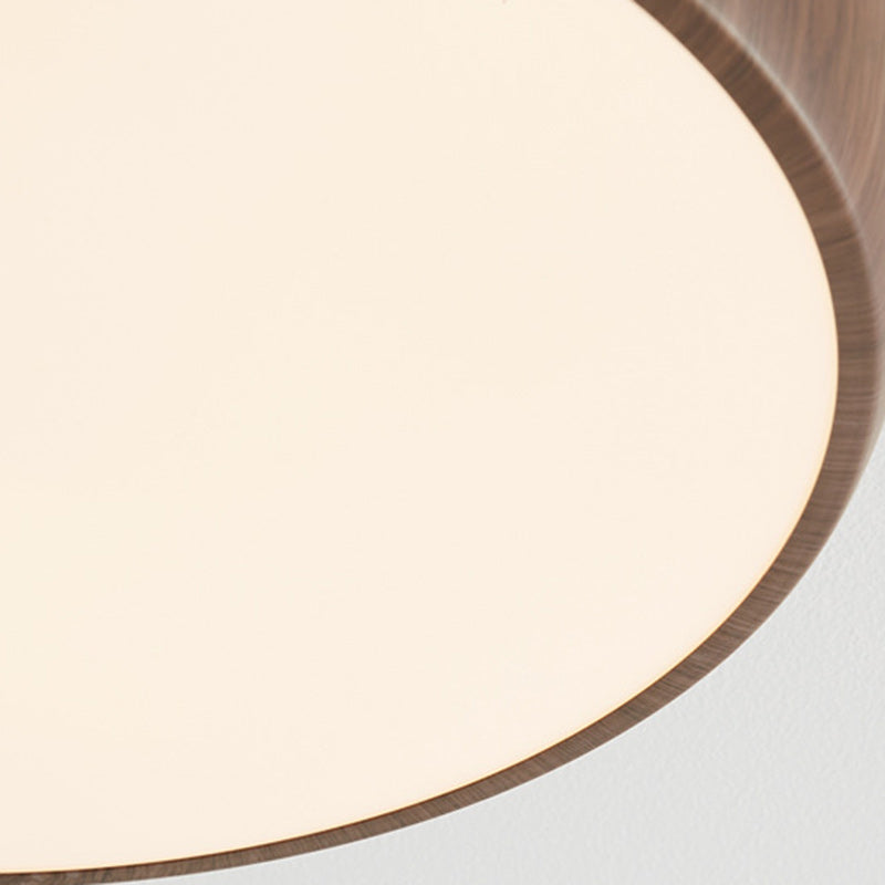 Chinese Acrylic Iron Globe Round LED Flush Mount Light