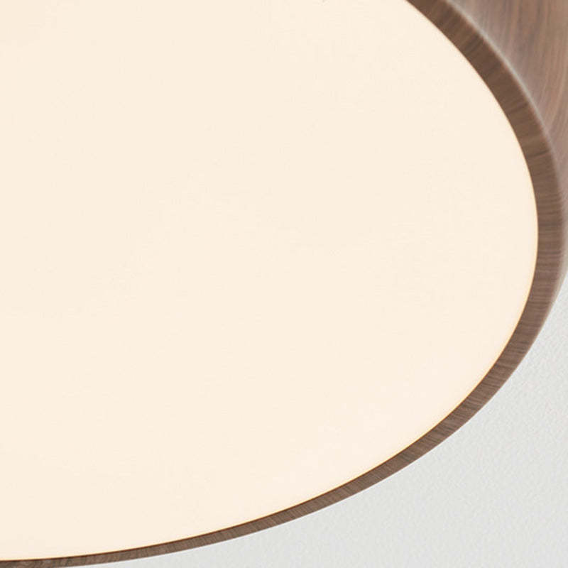 Chinese Acrylic Iron Globe Round LED Flush Mount Light