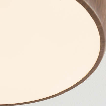 Chinese Acrylic Iron Globe Round LED Flush Mount Light