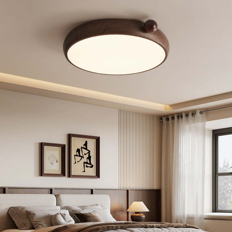 Chinese Acrylic Iron Globe Round LED Flush Mount Light
