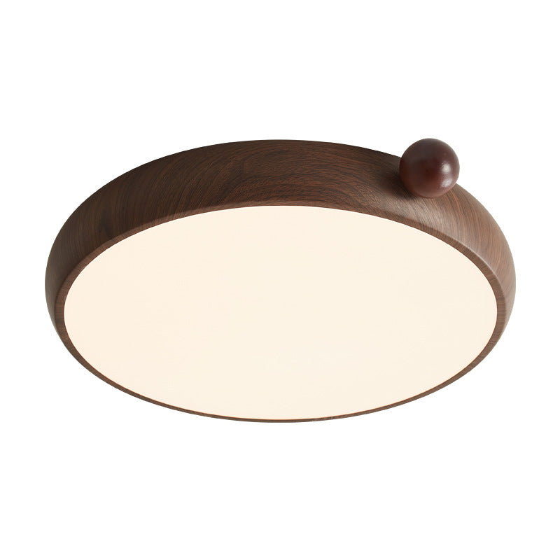 Chinese Acrylic Iron Globe Round LED Flush Mount Light