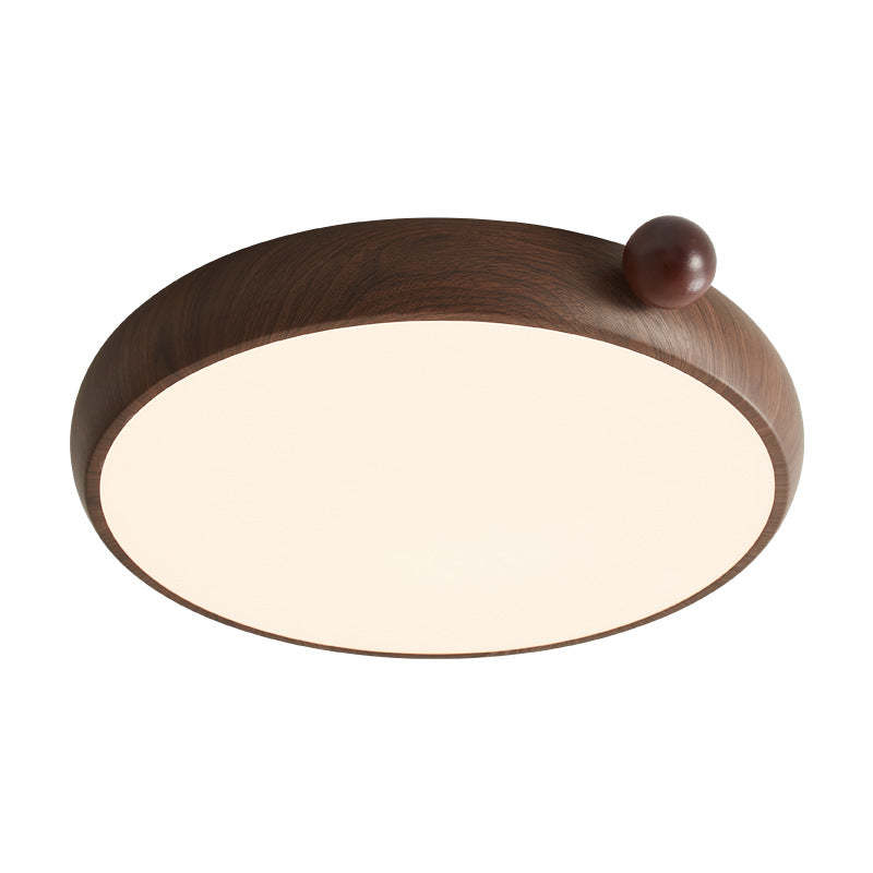 Chinese Acrylic Iron Globe Round LED Flush Mount Light
