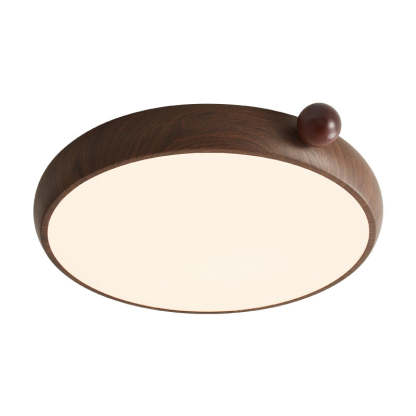 Chinese Acrylic Iron Globe Round LED Flush Mount Light