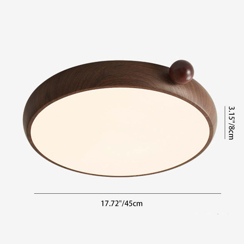Chinese Acrylic Iron Globe Round LED Flush Mount Light