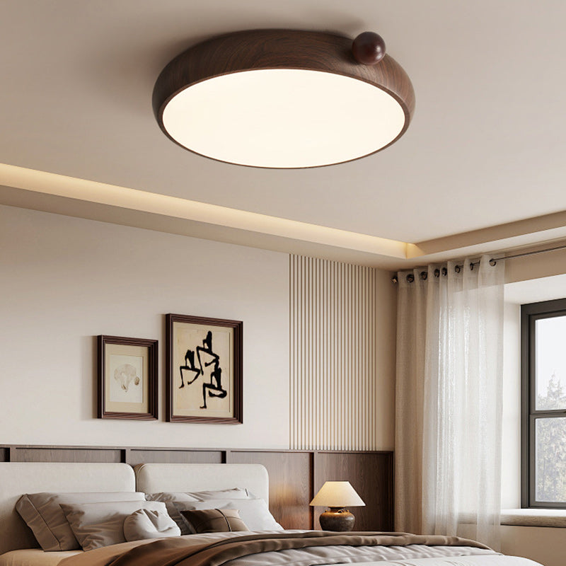 Chinese Acrylic Iron Globe Round LED Flush Mount Light