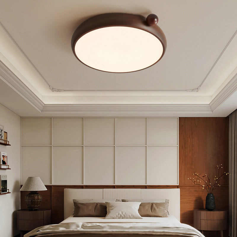 Chinese Acrylic Iron Globe Round LED Flush Mount Light