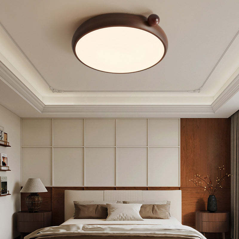 Chinese Acrylic Iron Globe Round LED Flush Mount Light