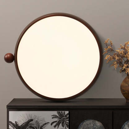 Chinese Acrylic Iron Globe Round LED Flush Mount Light
