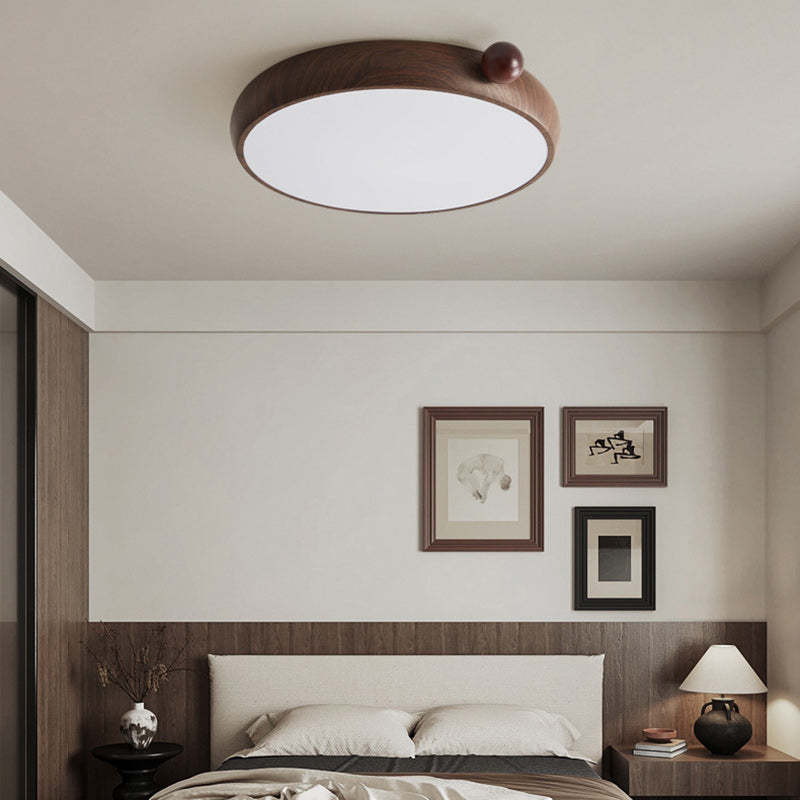 Chinese Acrylic Iron Globe Round LED Flush Mount Light