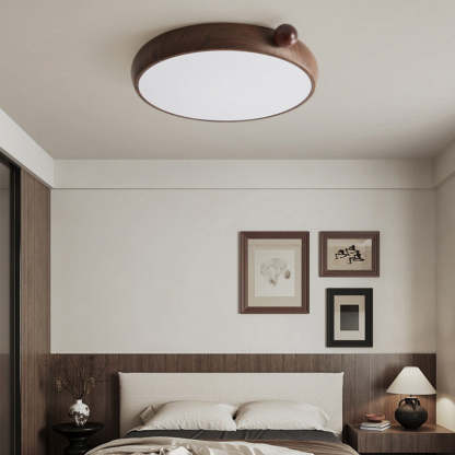Chinese Acrylic Iron Globe Round LED Flush Mount Light