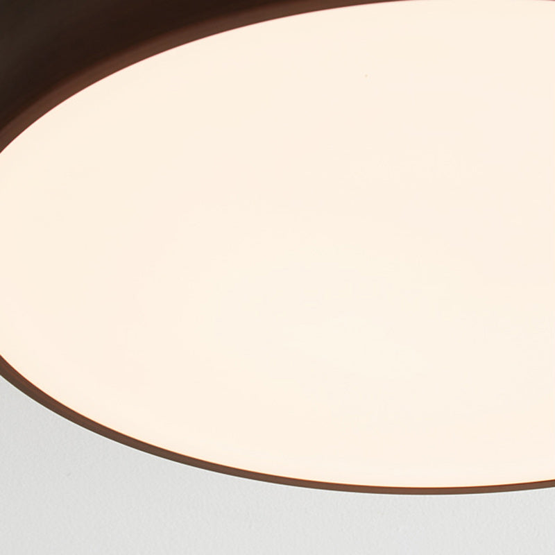 Chinese Acrylic Iron Globe Round LED Flush Mount Light