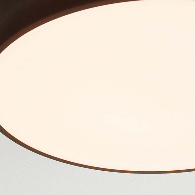 Chinese Acrylic Iron Globe Round LED Flush Mount Light