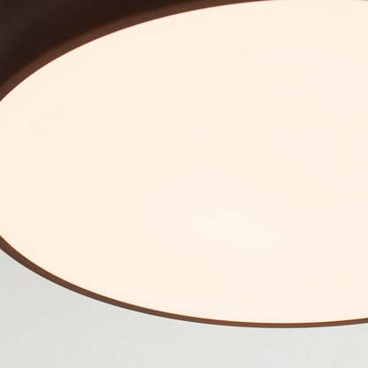 Chinese Acrylic Iron Globe Round LED Flush Mount Light