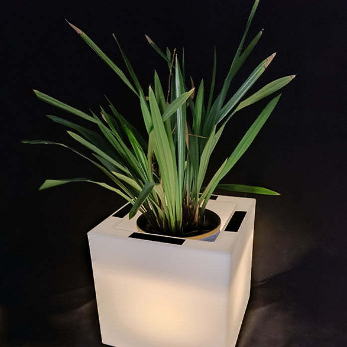 Modern Art Deco Solar Square Planter LED Landscape Light