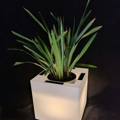 Modern Art Deco Solar Square Planter LED Landscape Light