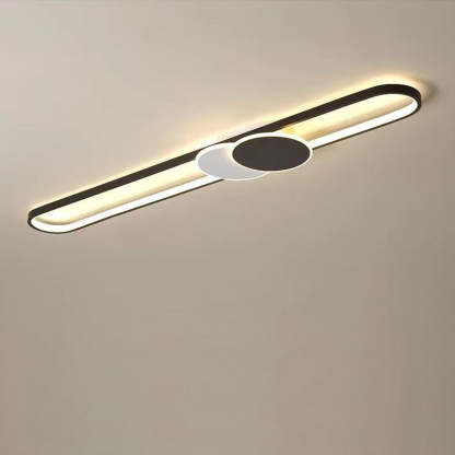 Minimalist Aluminum Iron Acrylic Oval Strip LED Flush Light