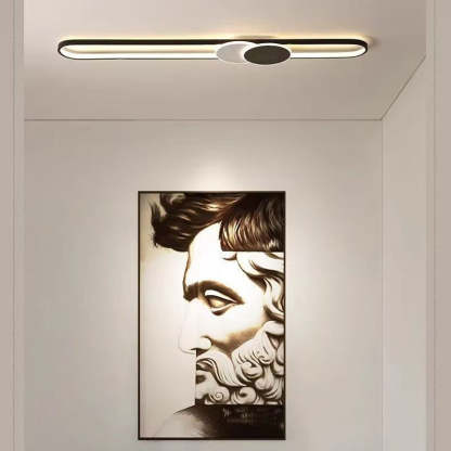 Minimalist Aluminum Iron Acrylic Oval Strip LED Flush Light — White Light (5000K) / 220V-240V For UK/AU