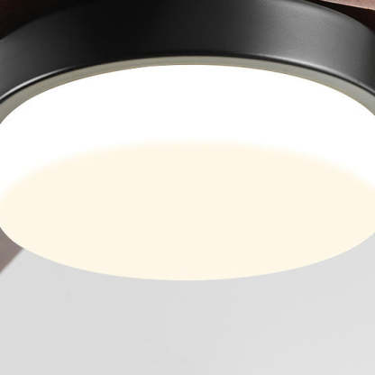 Nordic Three Blades Ceiling Fan Light