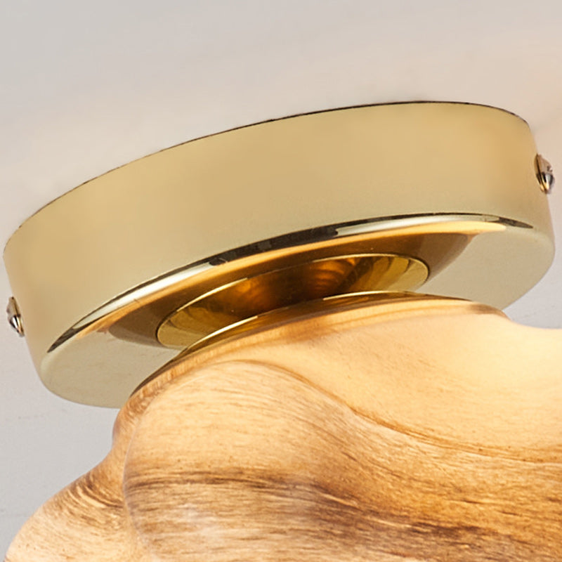 Contemporary Starfish Glass Dome Ceiling Light