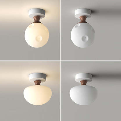French Glass Semicircle 1-Light Ceiling Light