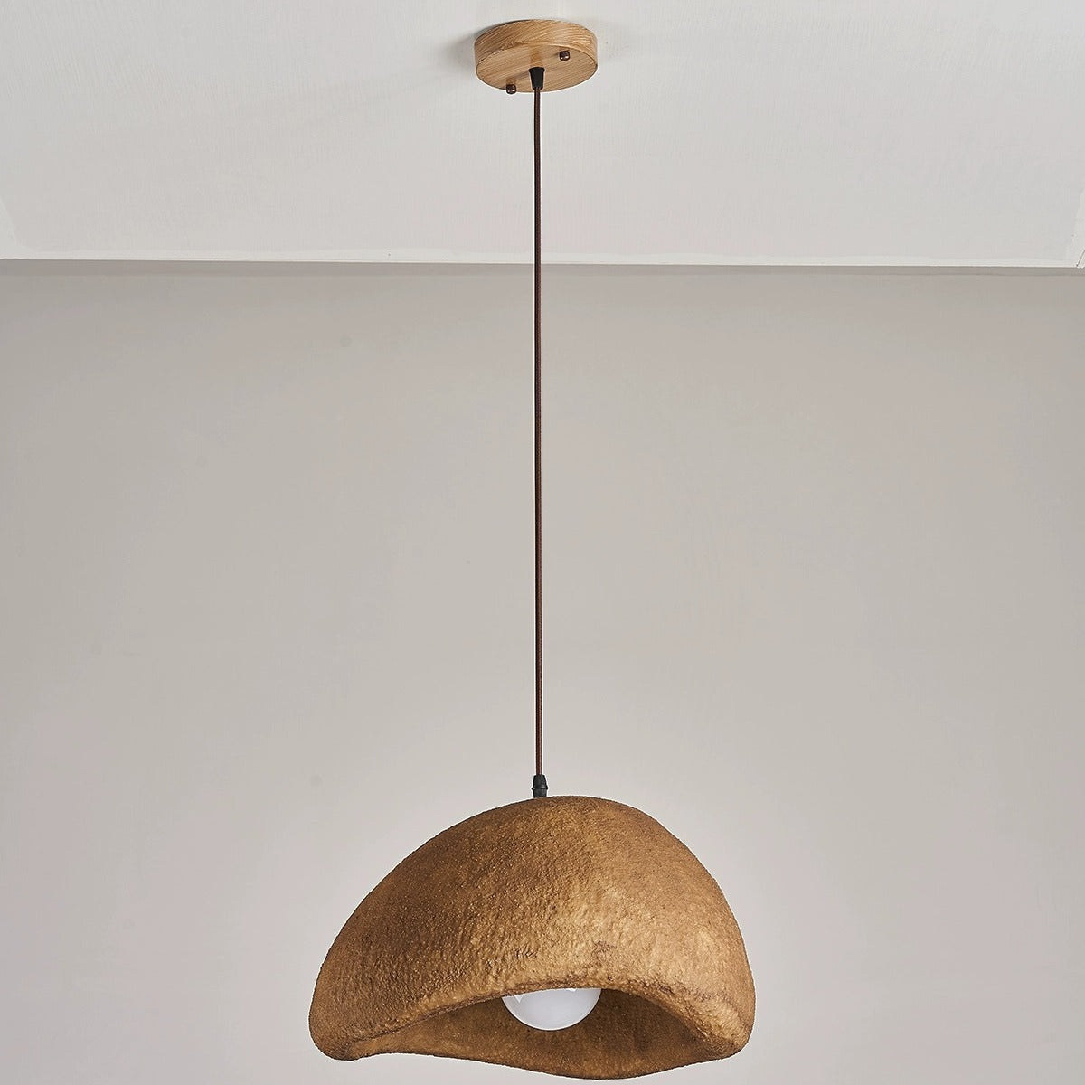 Vintage Irregular Cloud Iron Resin Pendant Light