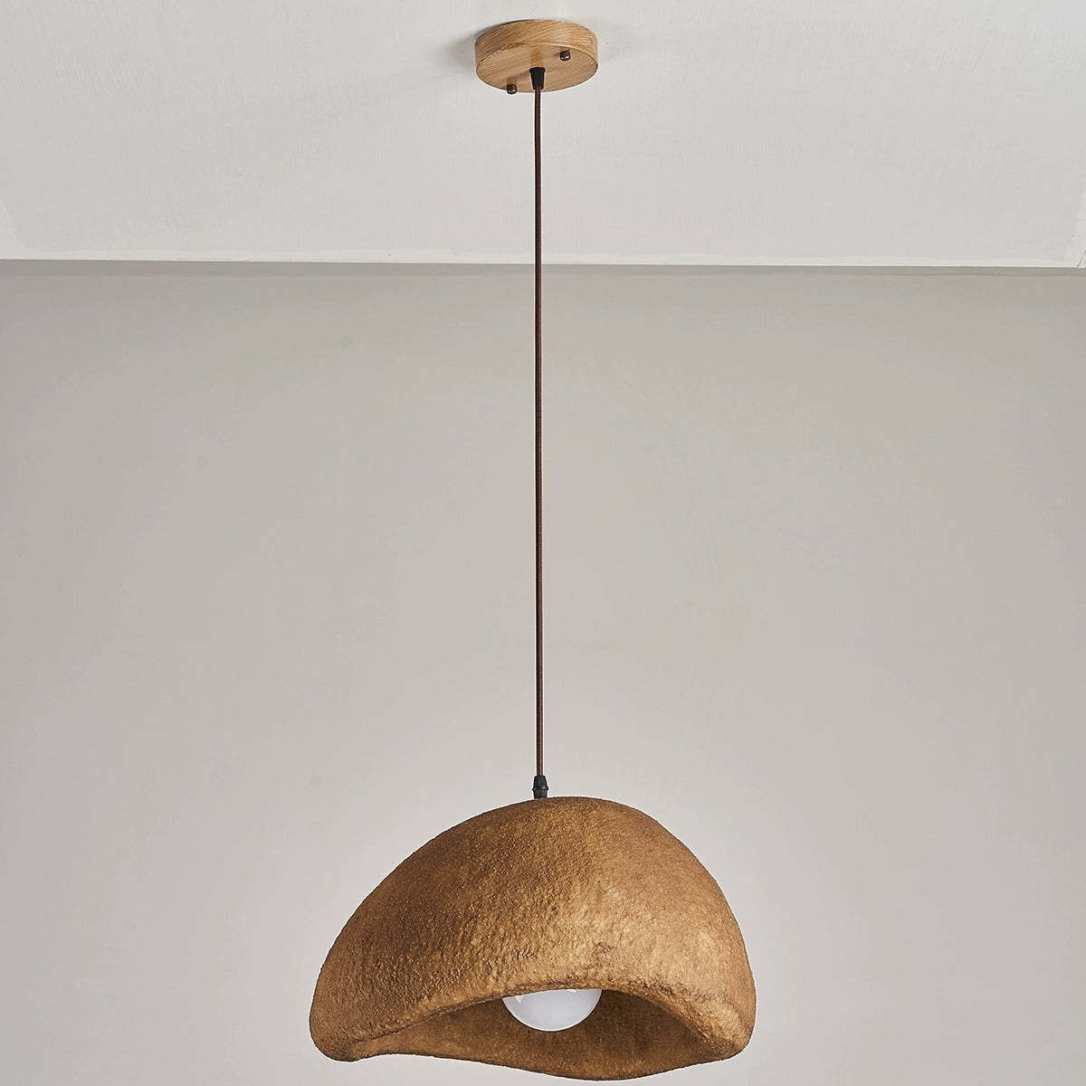 Vintage Irregular Cloud Iron Resin Pendant Light