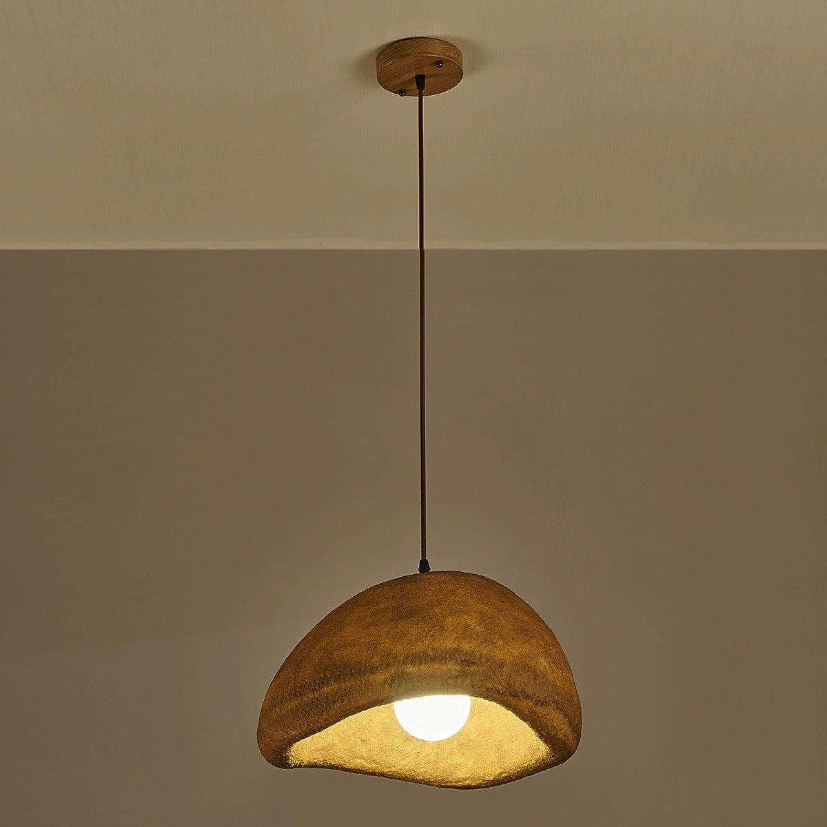 Vintage Irregular Cloud Iron Resin Pendant Light