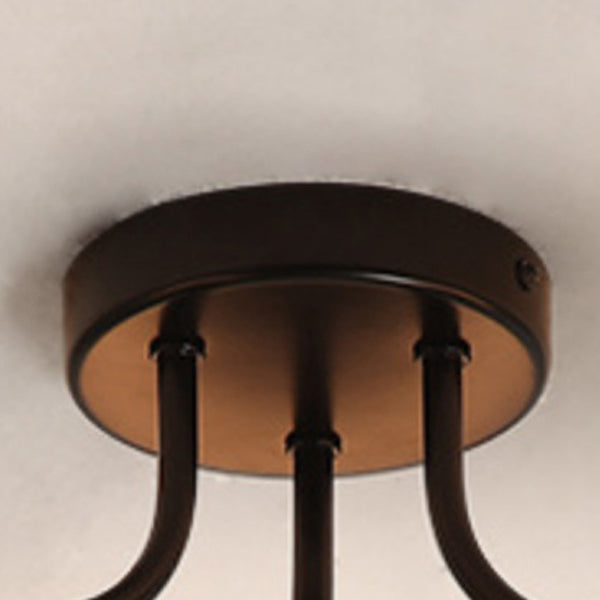 Minimalist Curved Pole Globe Iron Ceiling Light