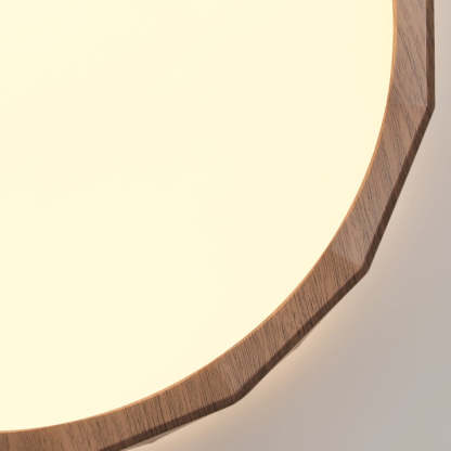 Japanese Water Transfer Wood Grain Flush Light