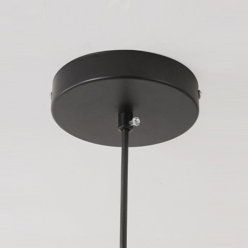 Nordic Petal Iron Plant Fiber Pendant Light