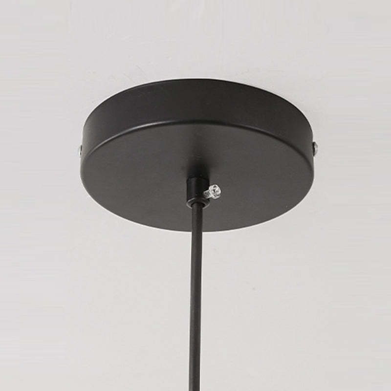 Nordic Petal Iron Plant Fiber Pendant Light