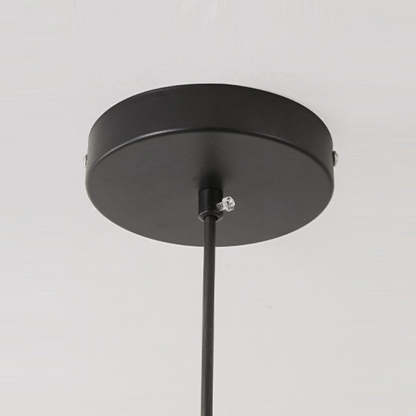 Nordic Petal Iron Plant Fiber Pendant Light
