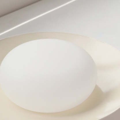 Japanese Round Iron Acrylic LED Ceiling Light