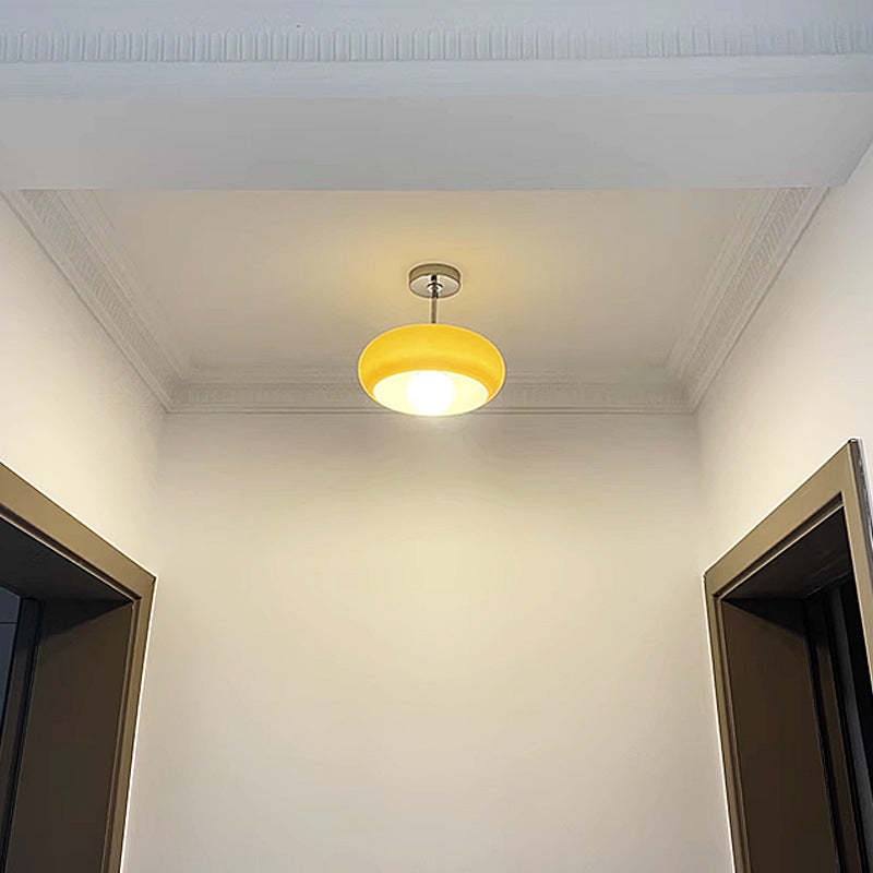 Scandinavian Persimmon Oval Iron Glass Pendant Light